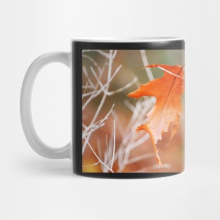 Fallen Leaf Mug